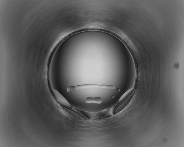 X0000098091232200804041212