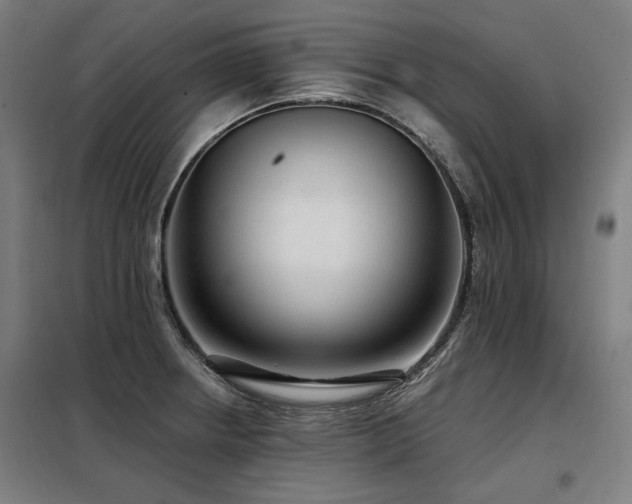 X0000098091234200804041212