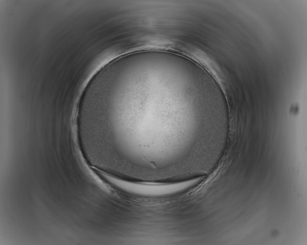 X0000098091235200804041212