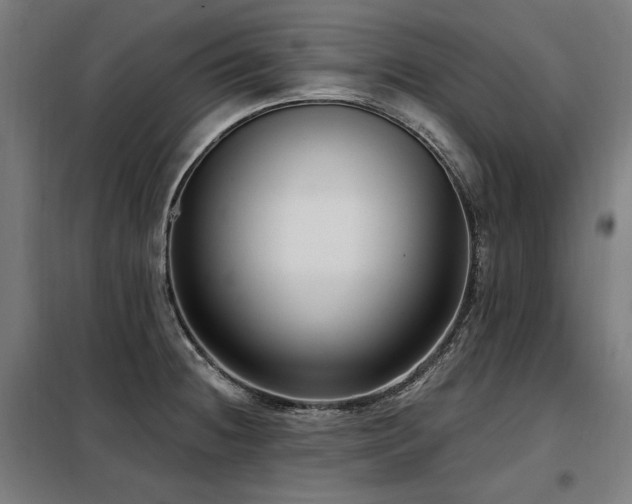 X0000098091236200804041212