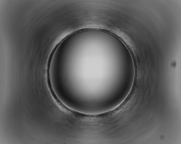 X0000098091237200804041212