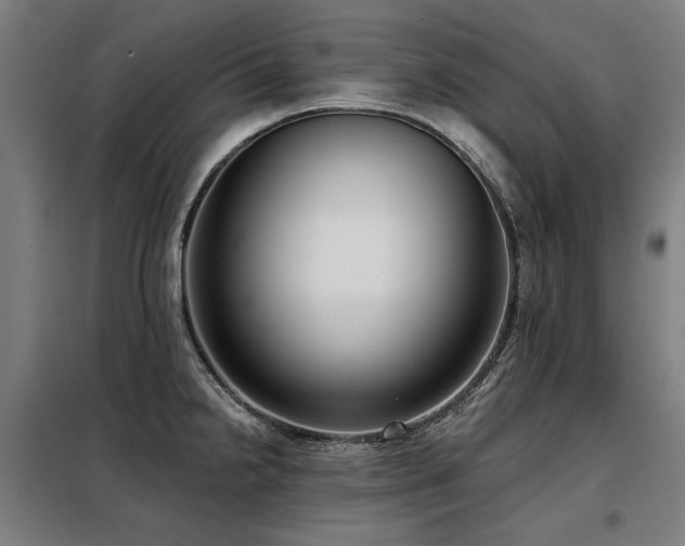 X0000098091238200804041212