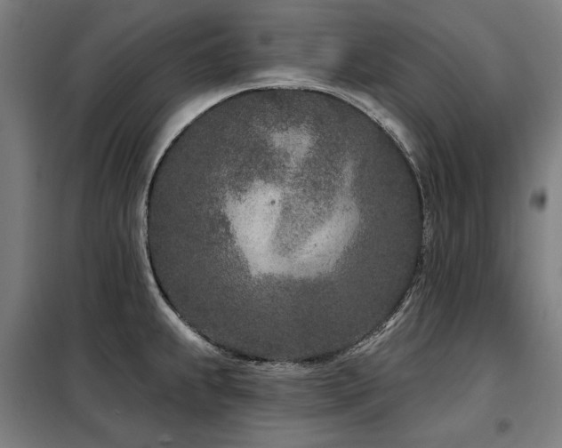 X0000098091239200804041212