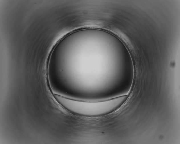 X0000098091240200804041212