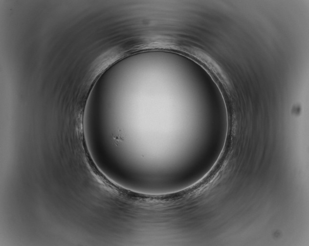 X0000098091241200804041212