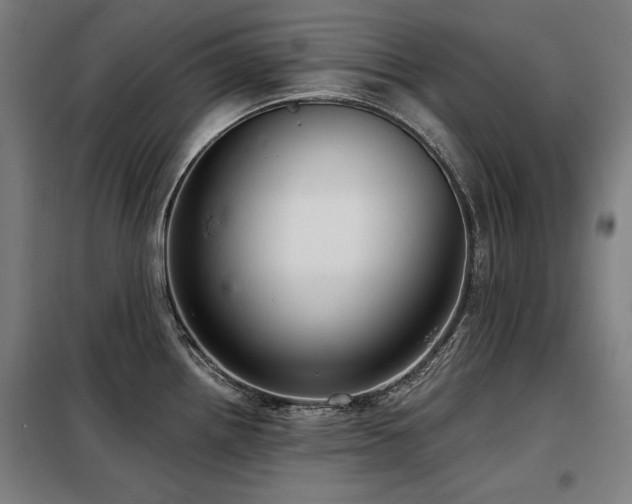 X0000098091242200804041213