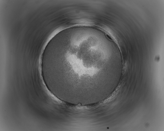 X0000098091243200804041213
