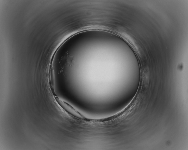 X0000098091244200804041213