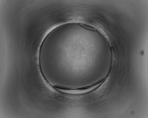 X0000098091246200804041213