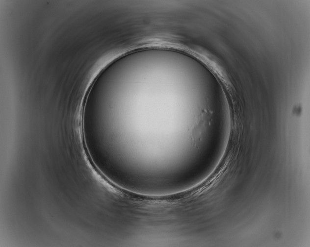 X0000098091247200804041213