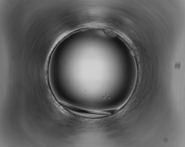 X0000098091248200804041213
