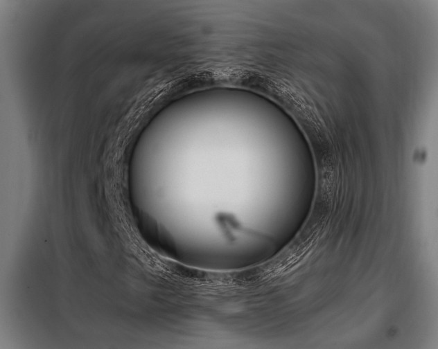 X0000098091249200804041212