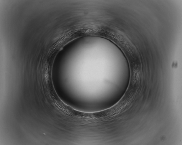 X0000098091250200804041212