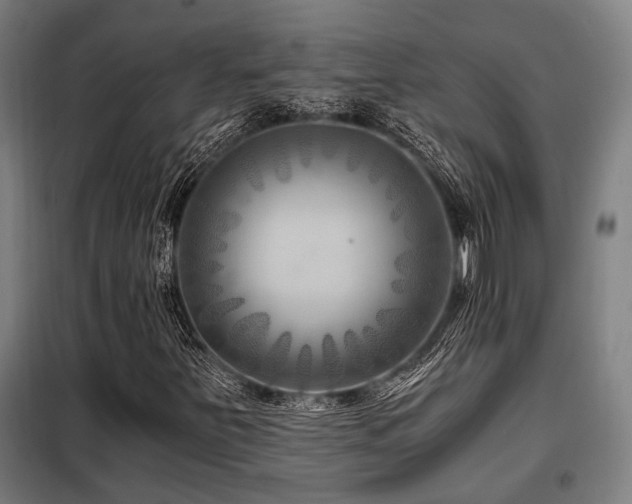 X0000098091251200804041212