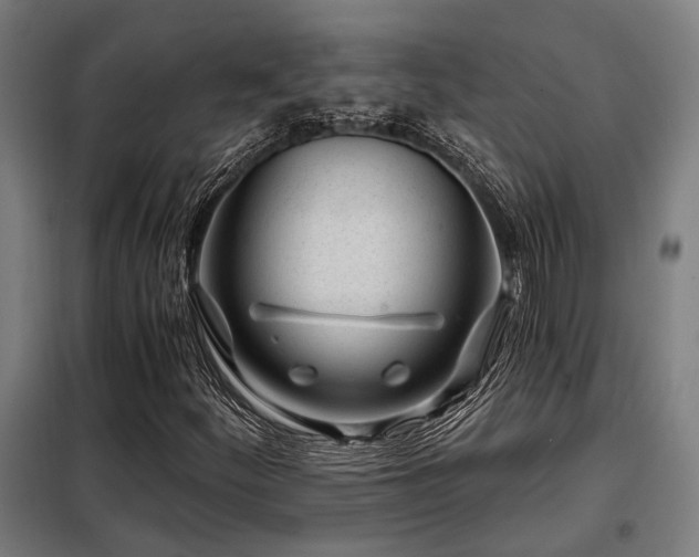 X0000098091252200804041212