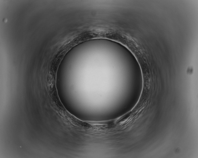 X0000098091253200804041212