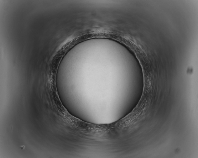 X0000098091254200804041212