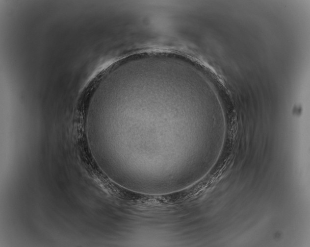 X0000098091255200804041212