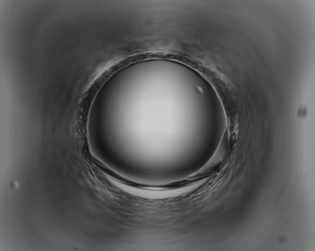 X0000098091256200804041212