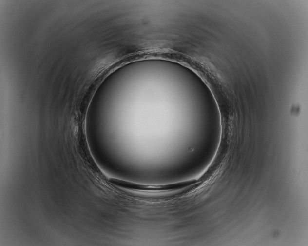 X0000098091257200804041212