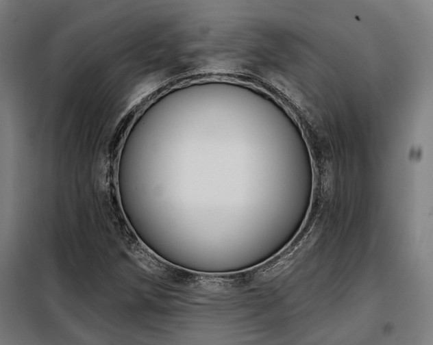 X0000098091258200804041212