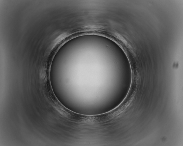 X0000098091259200804041212