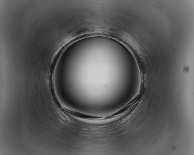X0000098091260200804041212
