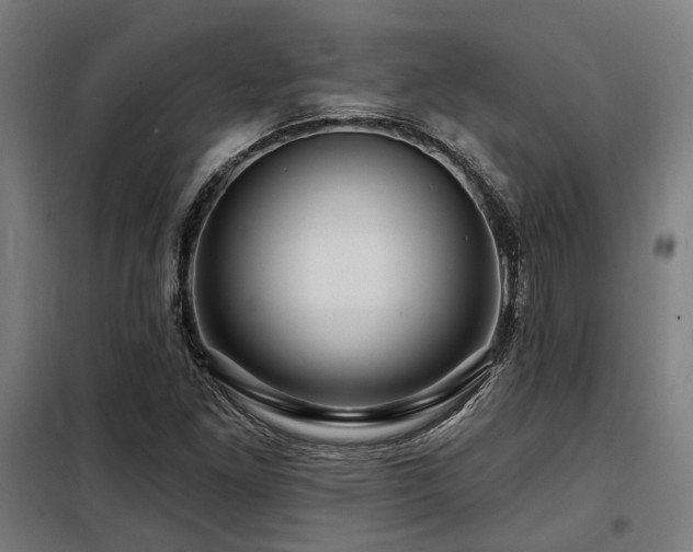 X0000098091261200804041212