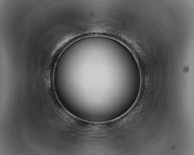 X0000098091262200804041212
