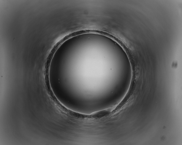 X0000098091264200804041212