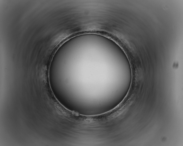 X0000098091265200804041212