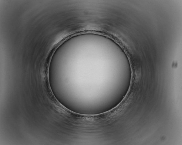 X0000098091266200804041212