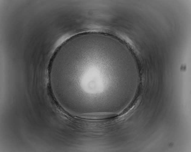 X0000098091267200804041212