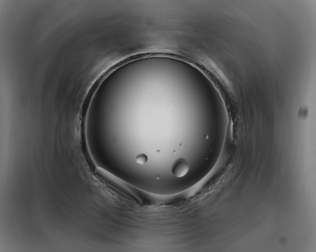 X0000098091268200804041212