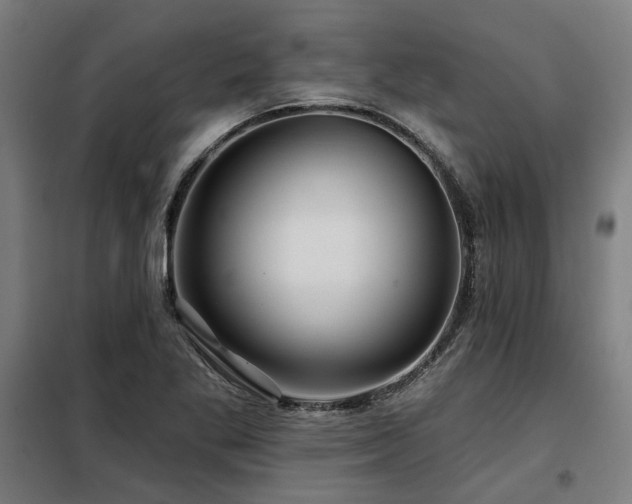 X0000098091269200804041212