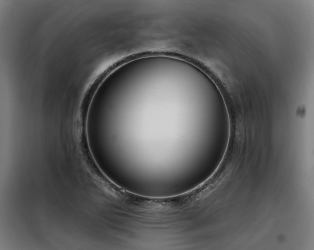 X0000098091270200804041212
