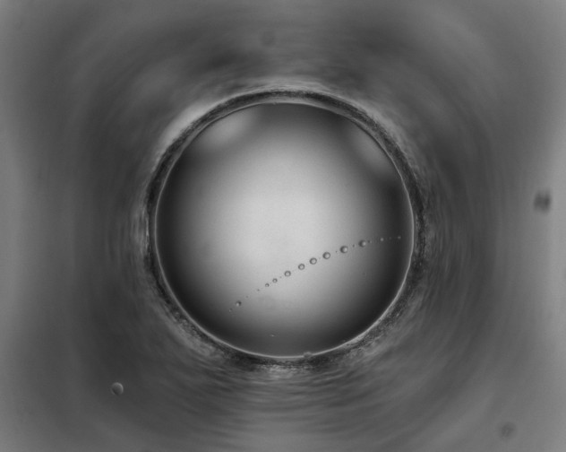 X0000098091271200804041212
