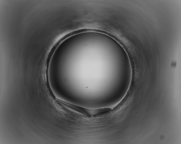 X0000098091272200804041212