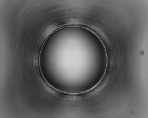 X0000098091273200804041212