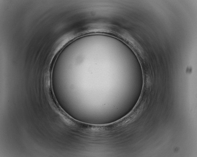 X0000098091274200804041212