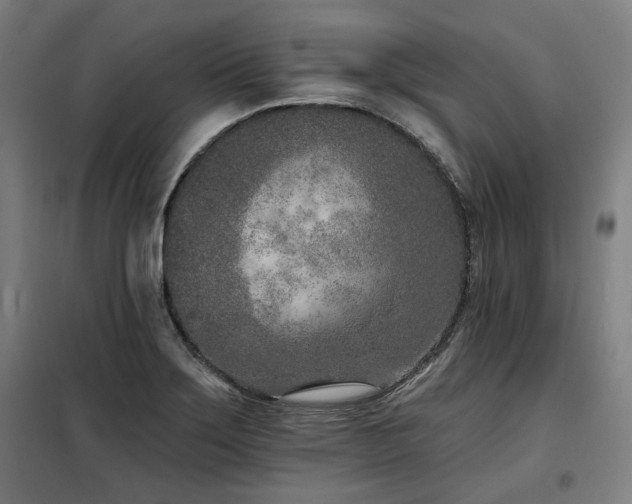 X0000098091275200804041212