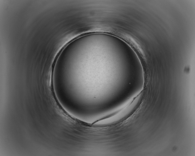 X0000098091276200804041211