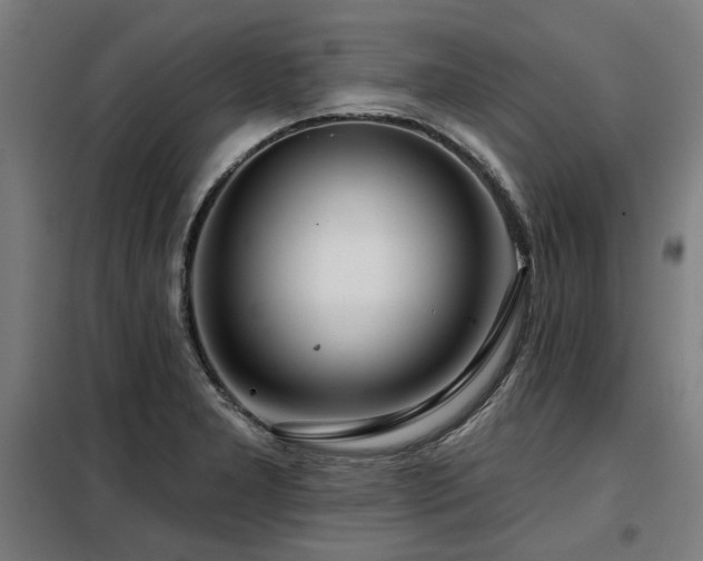 X0000098091277200804041211