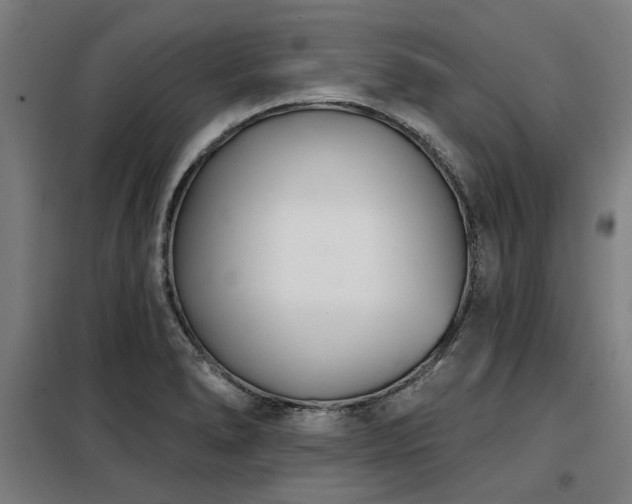 X0000098091278200804041211