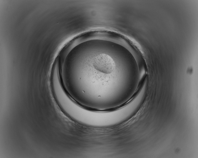 X0000098091279200804041211