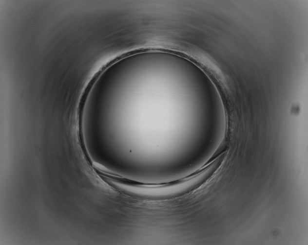 X0000098091280200804041211