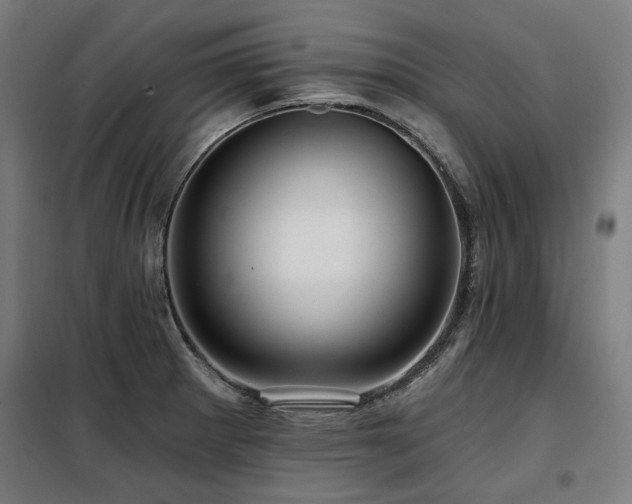X0000098091281200804041211