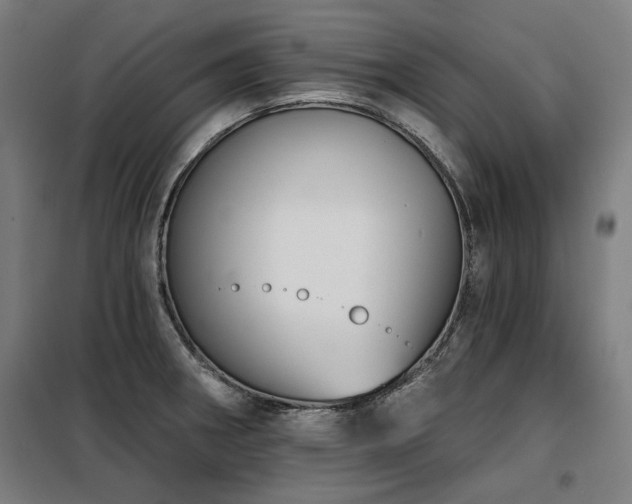 X0000098091282200804041211
