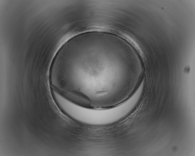 X0000098091283200804041211