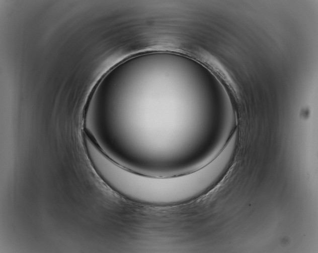 X0000098091284200804041211